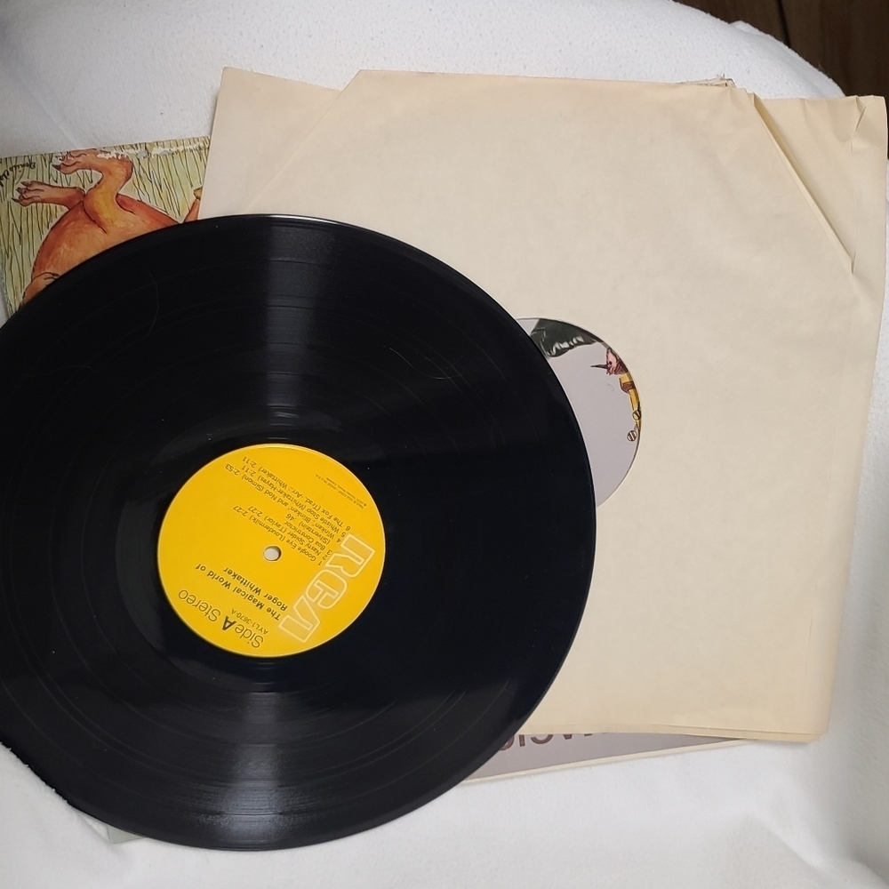Bundle lot of 3 Roger Whitaker vintage vinyl records - Picture 9 of 10